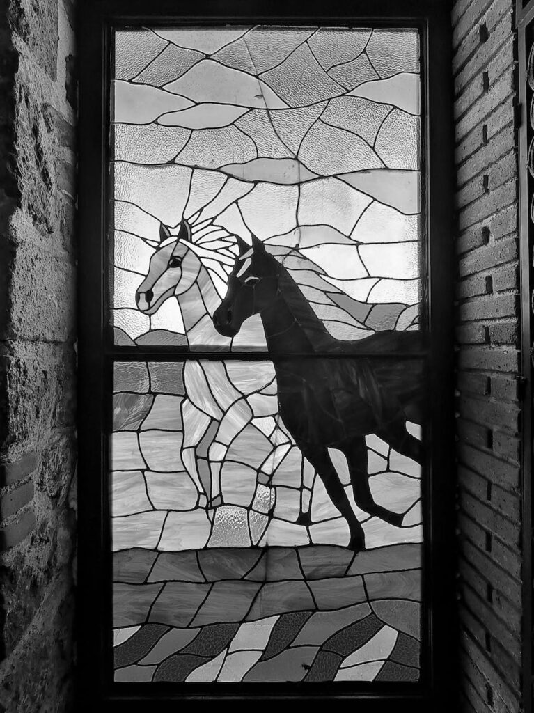 brown horse standing on brown concrete floor