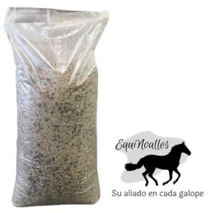 Caballos Deportivos Mantenimiento