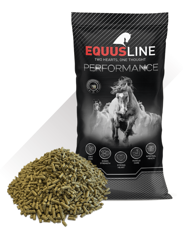 EQUUSLINE OPTIMA