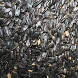 Pipa Negra