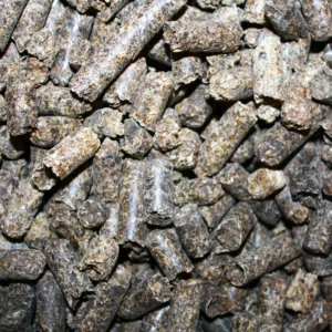 Pulpa de Remolacha
